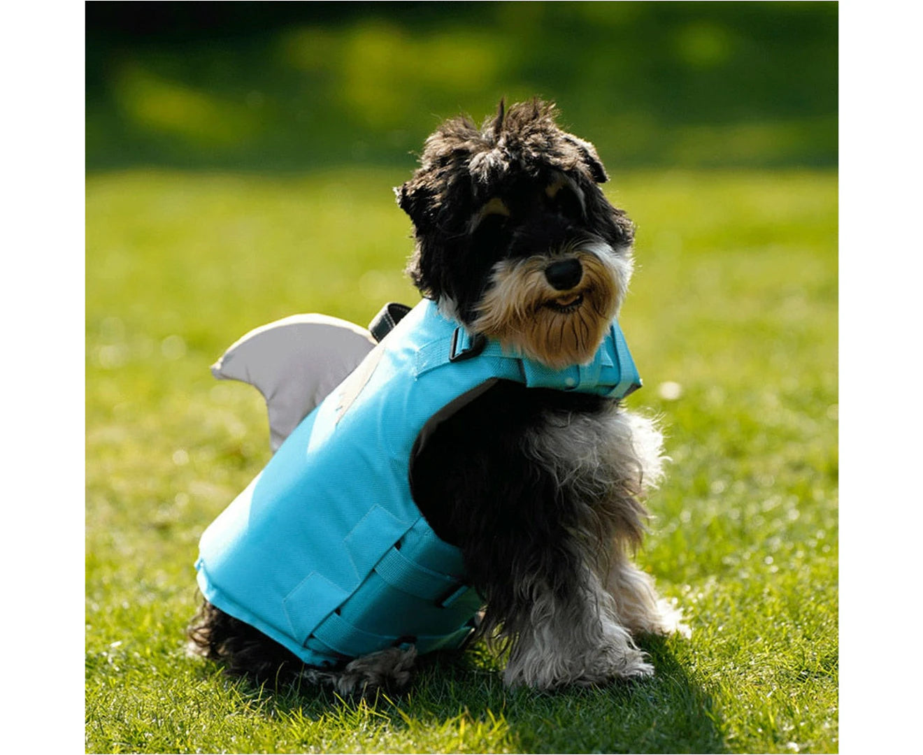 Blue Shark Dog Life Jacket - Blue