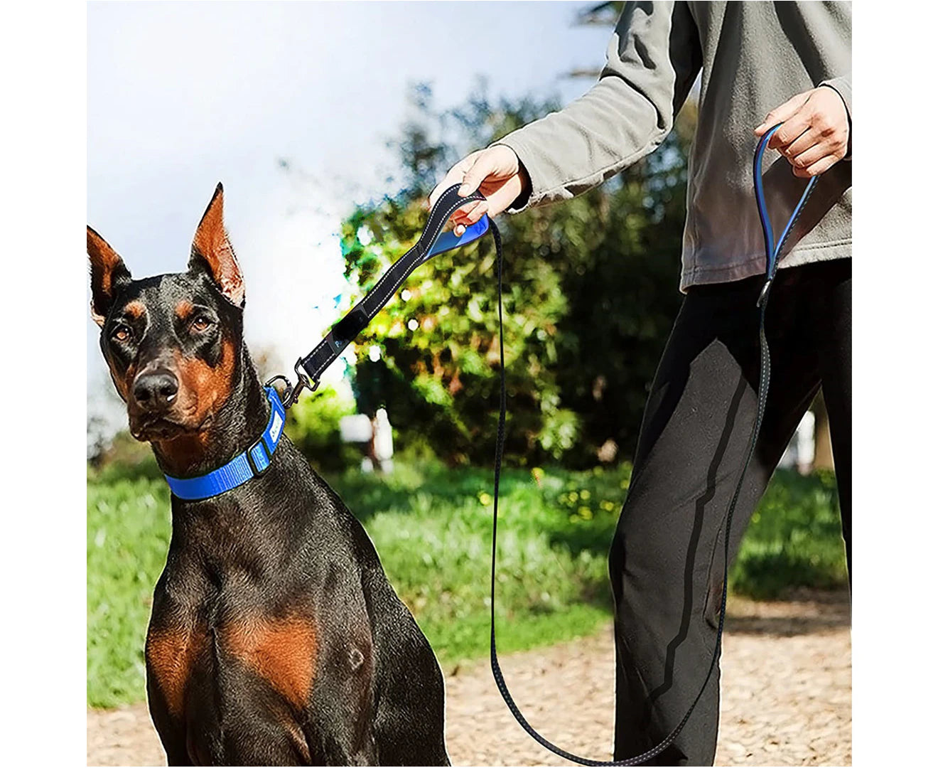 Heavy Duty Lead for Control Safety Training,Leashes for Large Dogs or Medium Dogs,Dual Handles Leads 180Cm,St-2